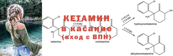 СК Михайловск